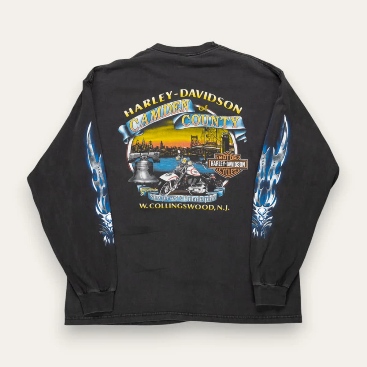 2002 Blue Blades Flames Harley Davidson LS - XL alternate view