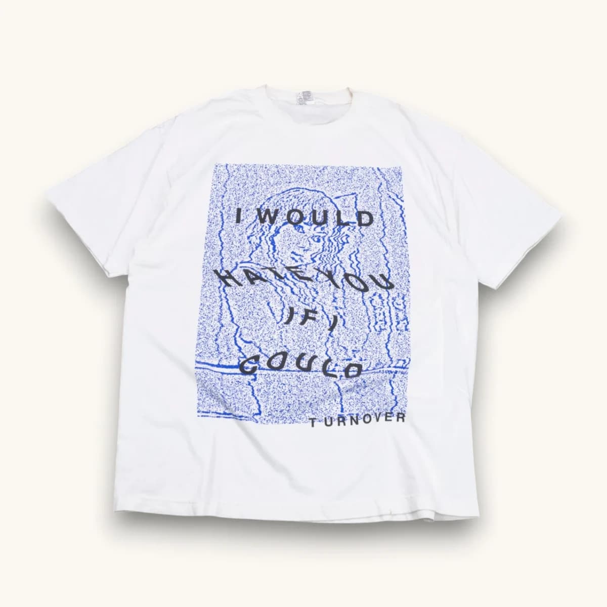 Turnover "I Would Hate You If I Could"
