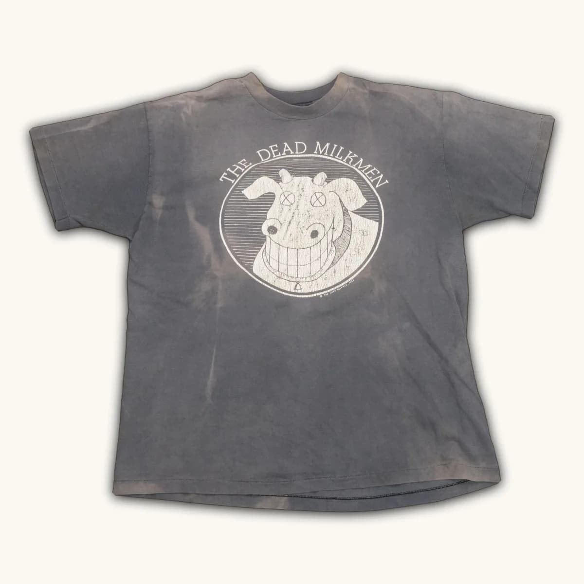 1983 The Dead Milkmen Hardcore Band