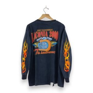 2000 Laconia Flaming Bike LS - XL