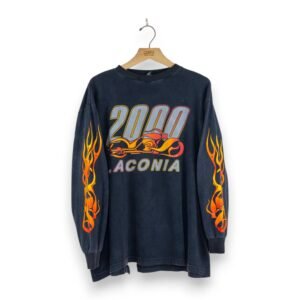2000 Laconia Flaming Bike LS - XL
