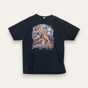 Y2K Stripper Low Riders  - L